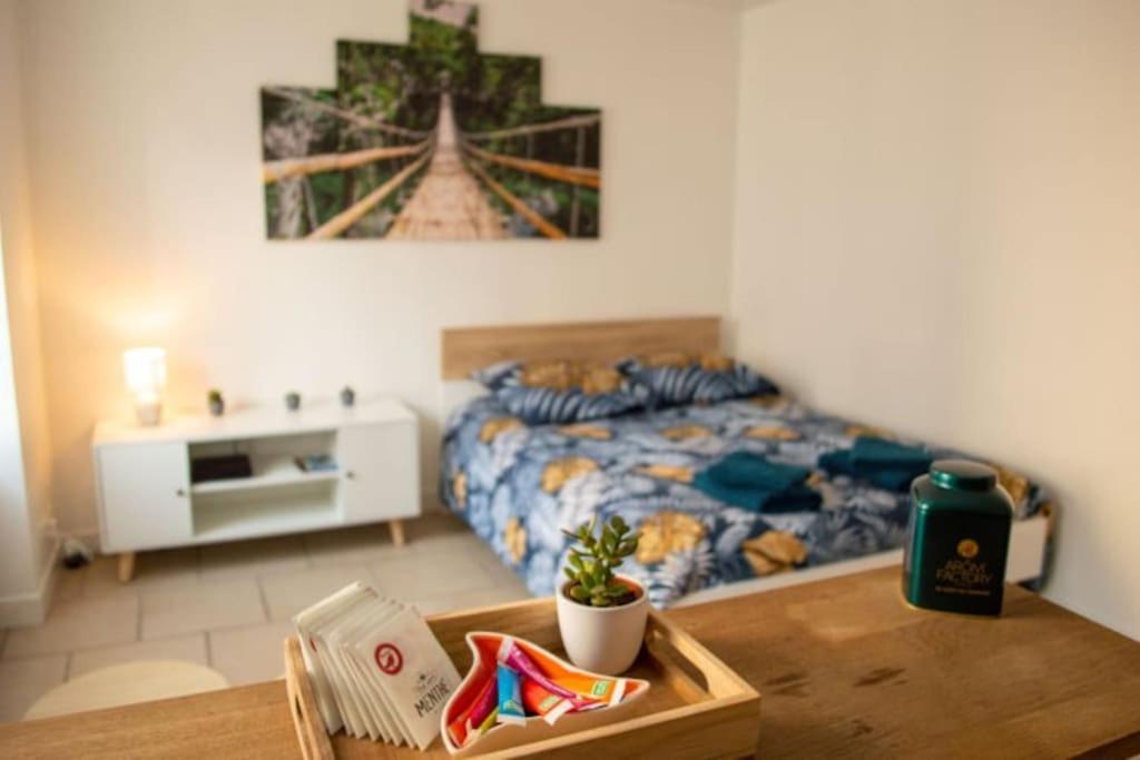 Studio Cosy Tv Wifi Confortable Et Chaleureux Gaillon エクステリア 写真